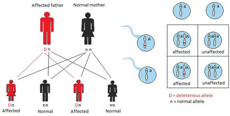 Access Audiology Nov2013 Figure 1