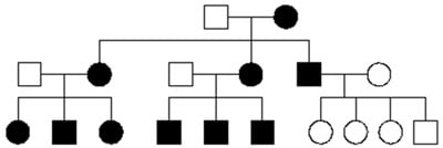 Access Audiology Nov2013 Figure 4