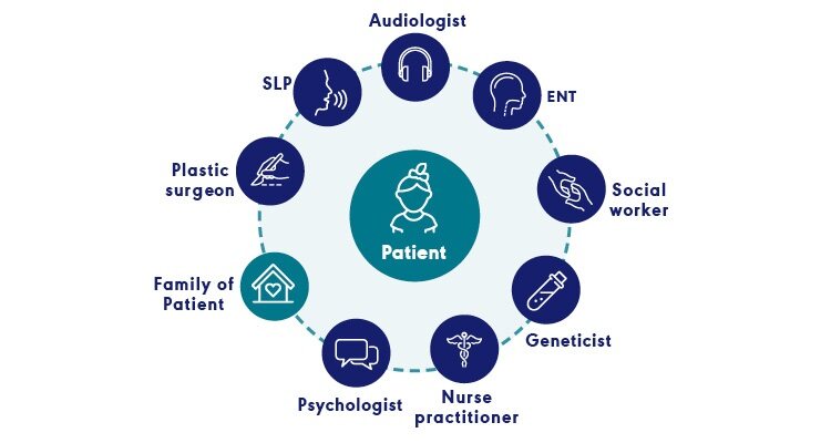 What is IPP?