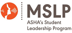 Minority Student Leadership Program