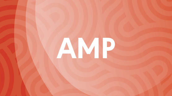 AMP mentoring program