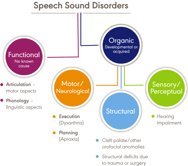 Speech Sound Disorders Umbrella