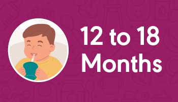 Developmental Milestones - Feeding - 12 to 18 Months