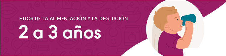 Hitos de la alimentación y la deglución: 2 a 3 años