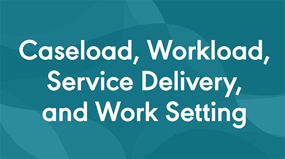 Caseload, Workload, Service Delivery, and Work Setting tile