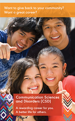 Brochure Native American